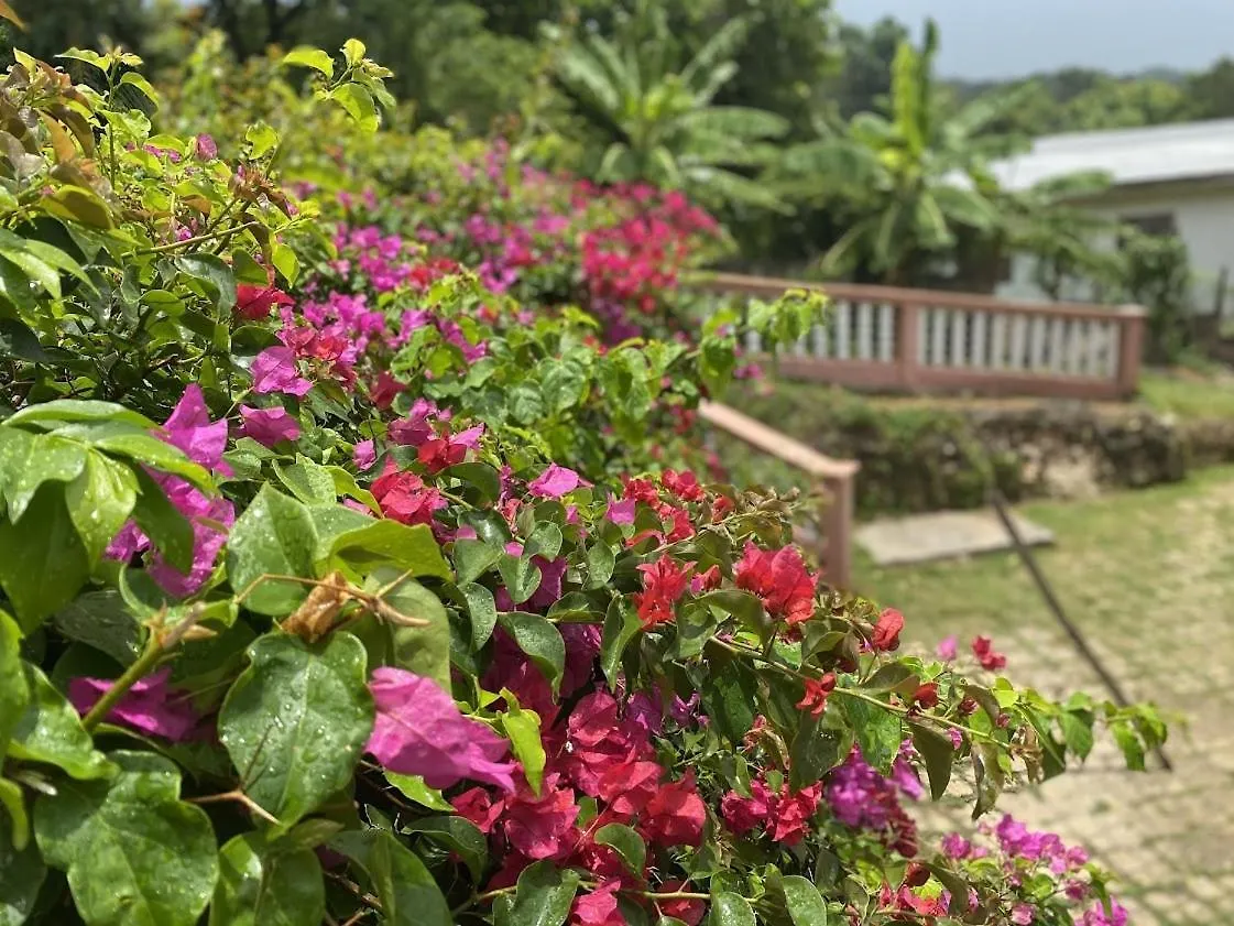 Yanceylargoestate 2Br Villa With Mountain Views 몬테고 베이
