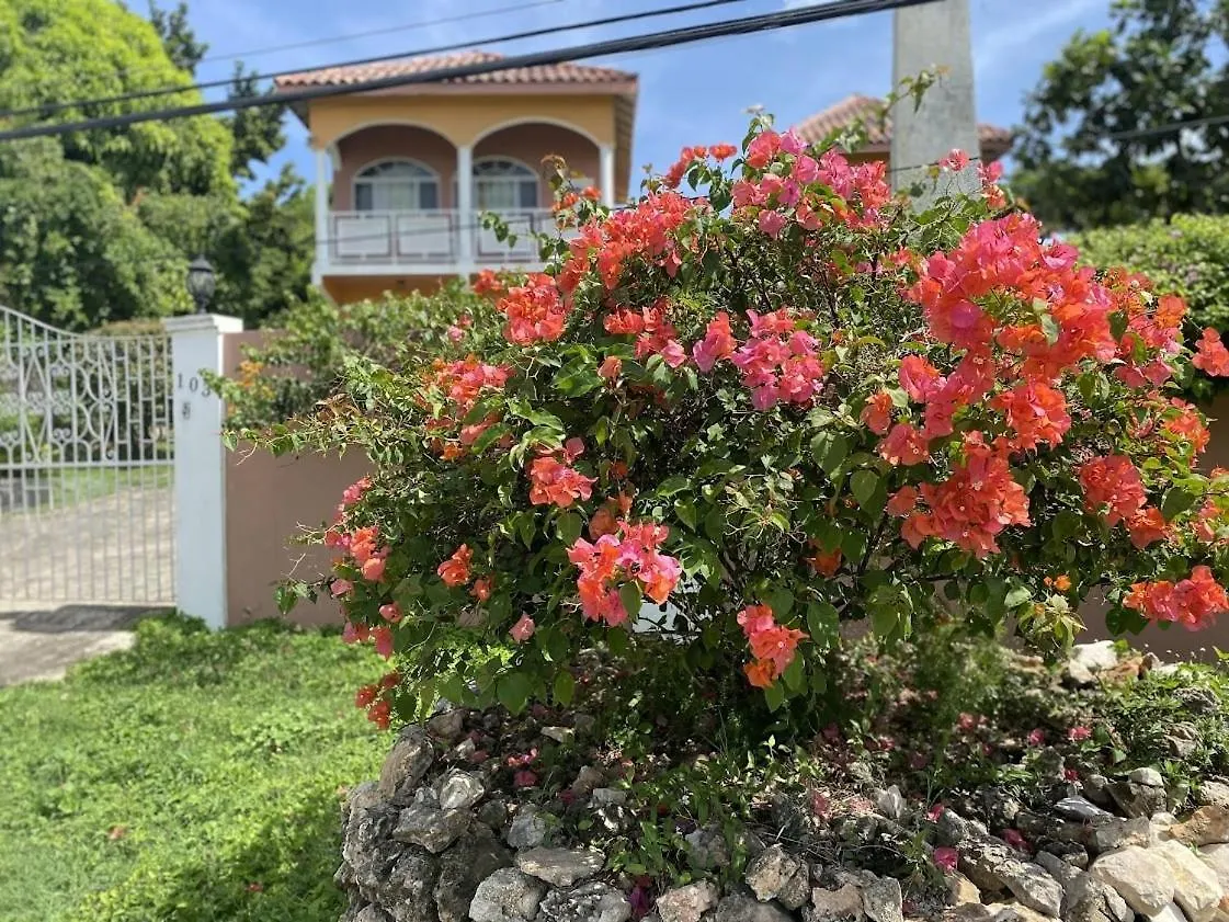 Yanceylargoestate 2Br Villa With Mountain Views 몬테고 베이